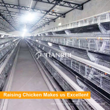 Hot Selling A Frame Automatic Battery Poultry Equipment for Layer